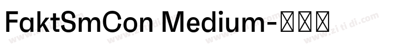 FaktSmCon Medium字体转换